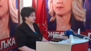 Мајкић: Српска без заштите на нивоу БиХ
