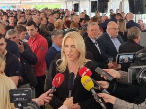 Цвијановић: Само јака Република Српска
