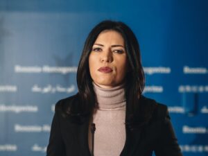 Вулић: Посланици СНСД-а и Српског клуба опредијељени за европски пут