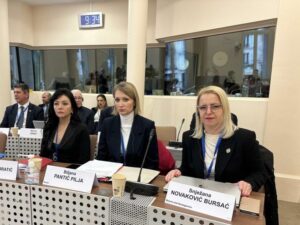 Бурсаћ: Самопроглашено Косово не испуњава услове за чланство у Савјет Европе